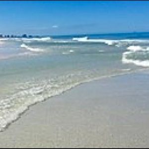 Meet your Posher, Rene